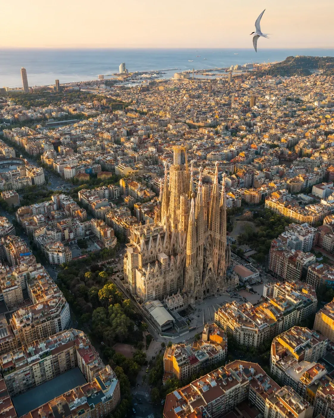 España