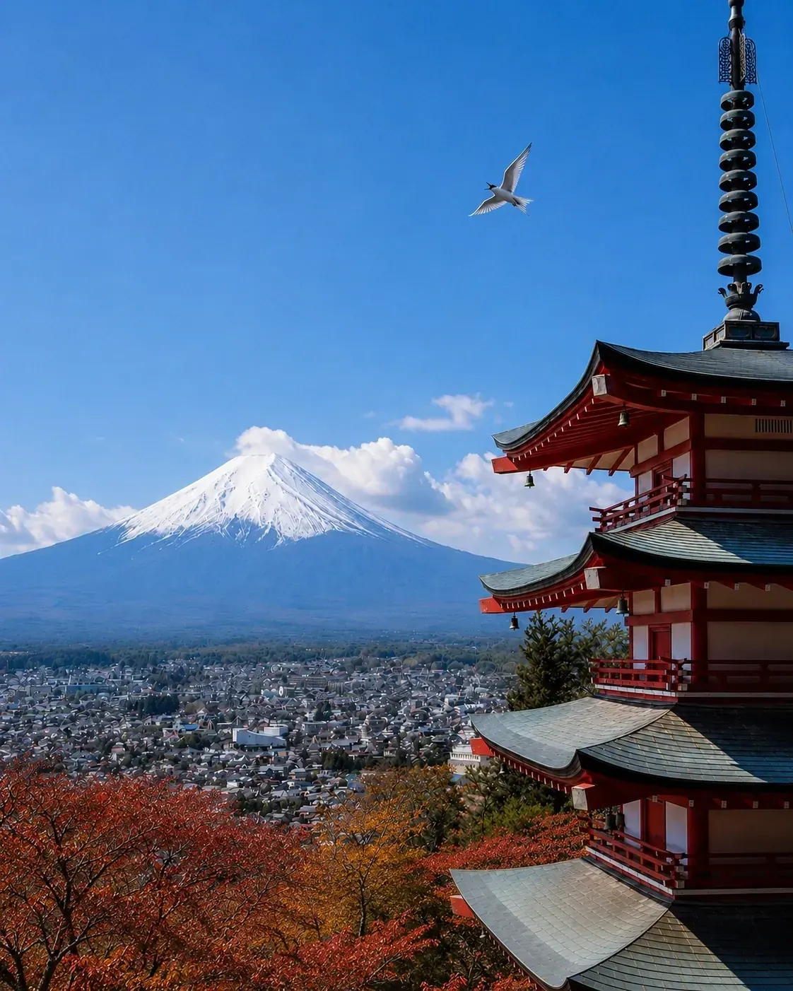 Japón